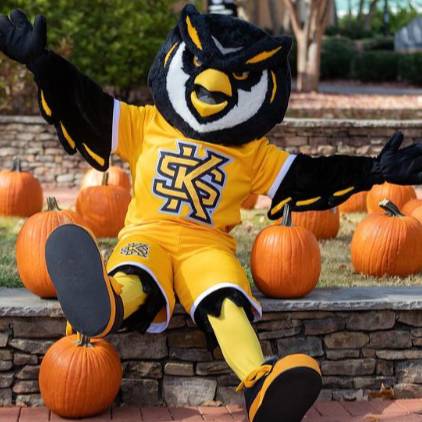 Scrappy sitting with pumpkins